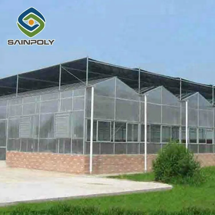Large multi-span agricultural vertical polycarbonate greenhouse