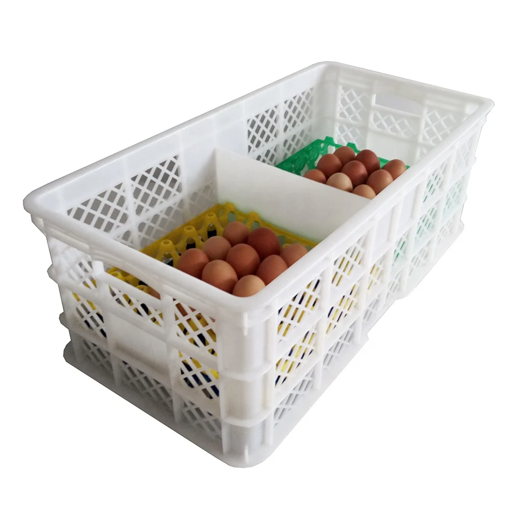 egg box plastic (7)