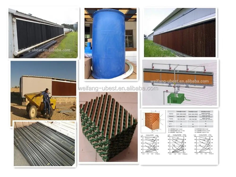 Design Modern High Quality Chicken Feeding Equipment/poultry Hopper Feeder/poultry Farm for Sale in Ghana