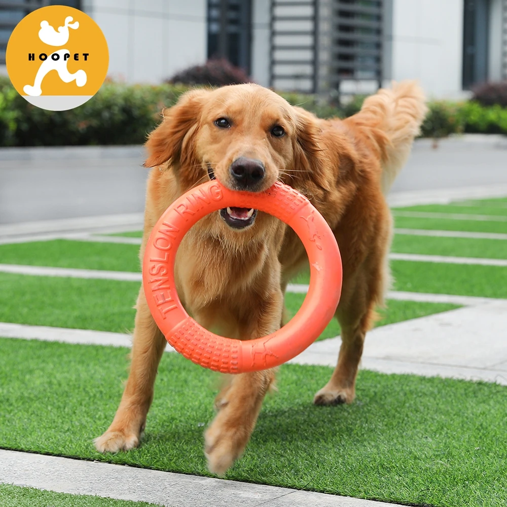 Pet Shop Supplies EVA Interactive Training Dog Toys Durable