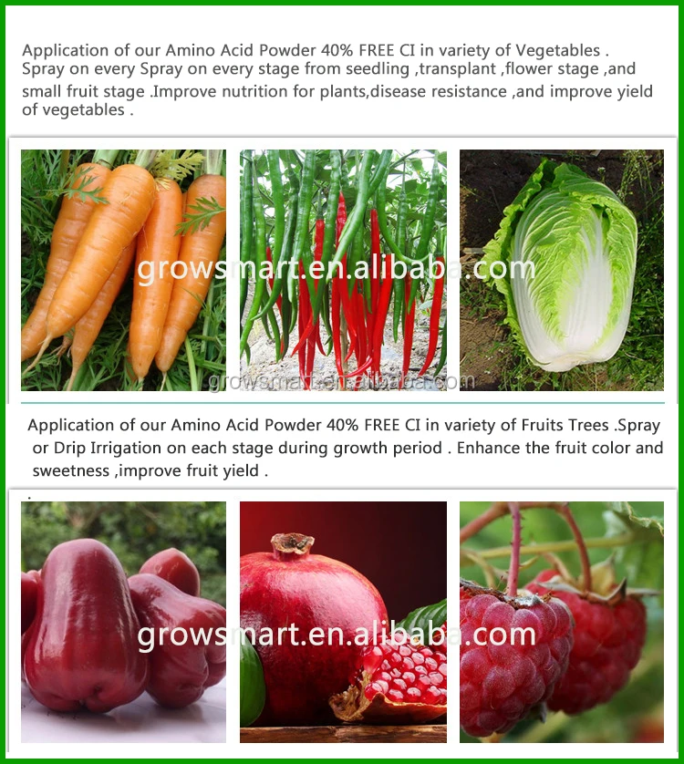 High grade protein hydrolysate fertilizer amino acid