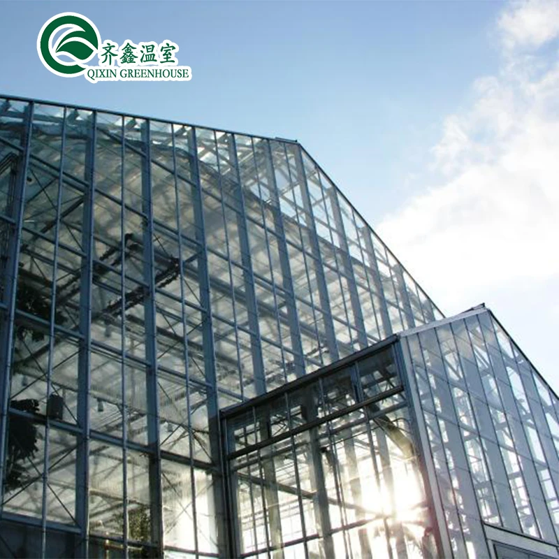 25 Years Quality Guarantee Galvanized Steel Structure For Glass Greenhouse
