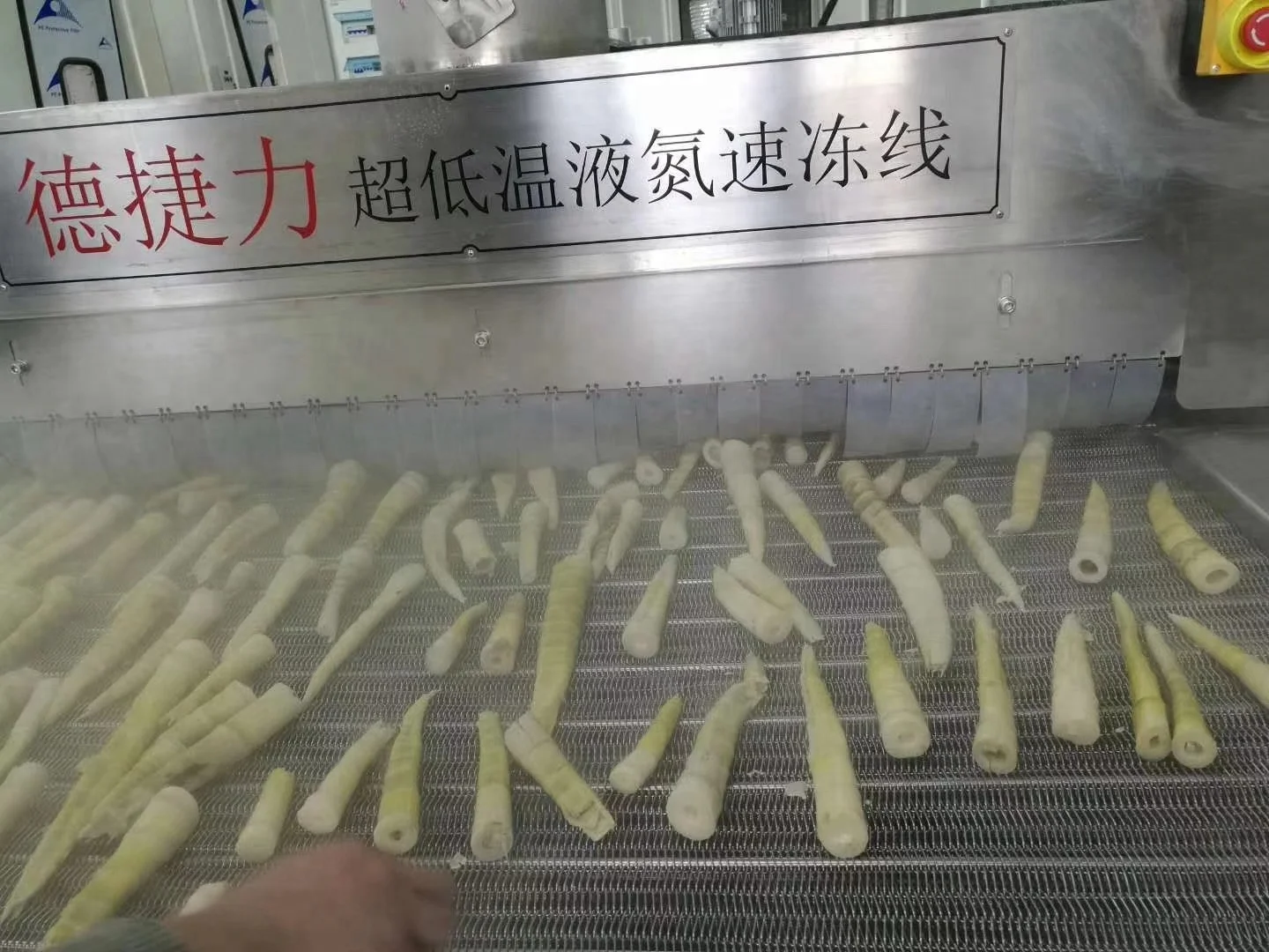 DJL tunnel industrial freezer/iqf freezing tunnel