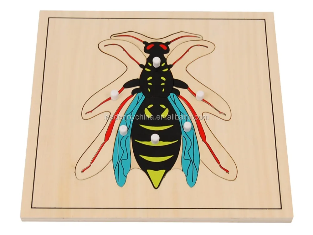 2020 high quality  educational material for montessori wooden wasp puzzle toys
