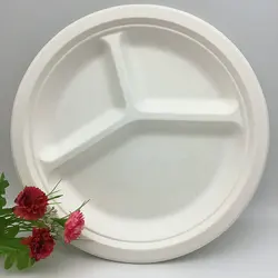 Wheat Straw Paper Plate Compostable Dinnerware Sets Disposable 9 Inches Plates