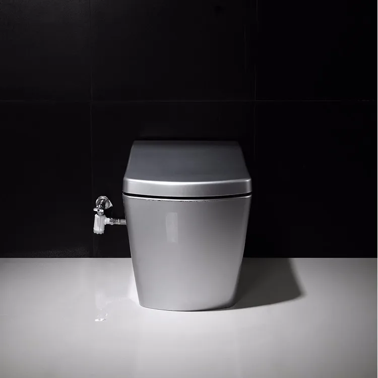 self-cleaning bathroom ceramic wc one piece toilet china