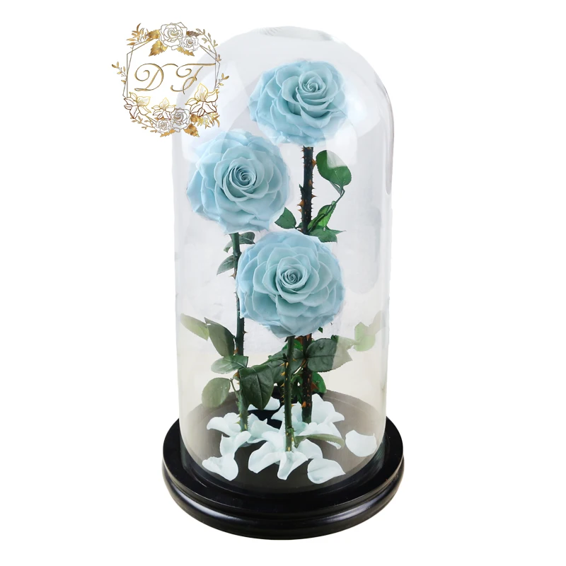 Wholesale Preserved Rose In Glass Dome For Wedding Decorations
