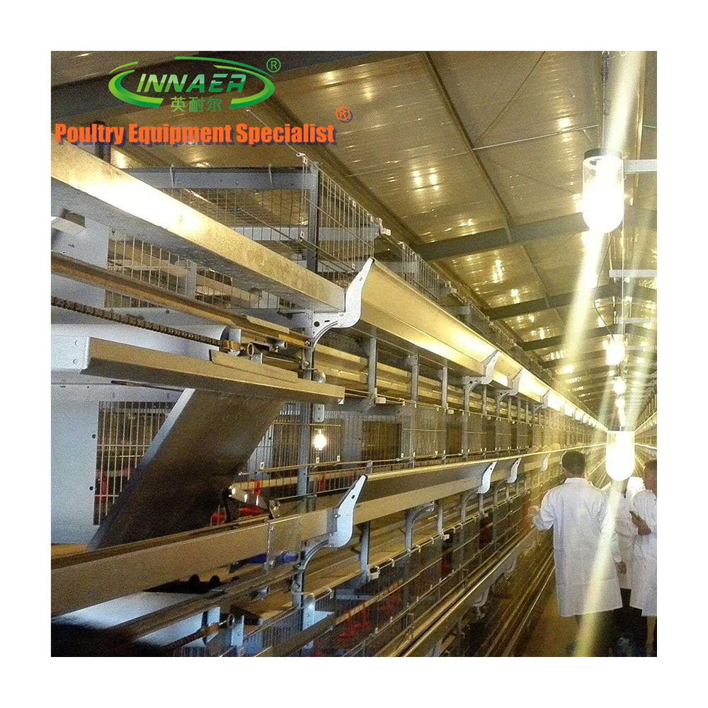 Automatic feeding pan for broilers