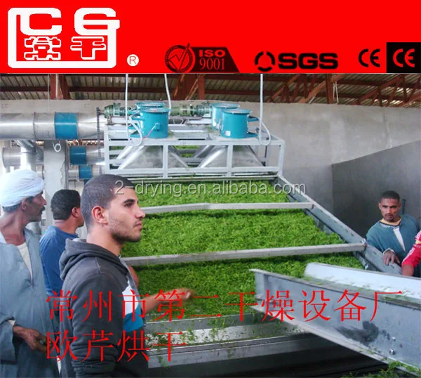 Continous Seaweed Processing Machine Equipment