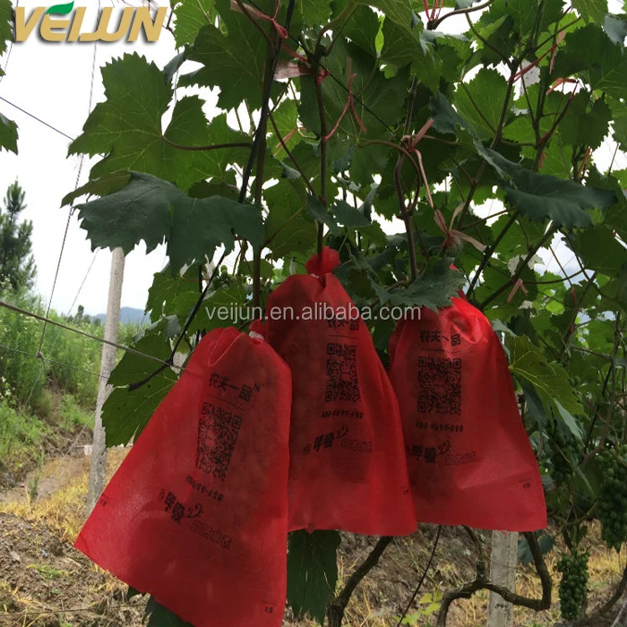 
Breathable polypropylene nonwoven protection grape bags for grewing 