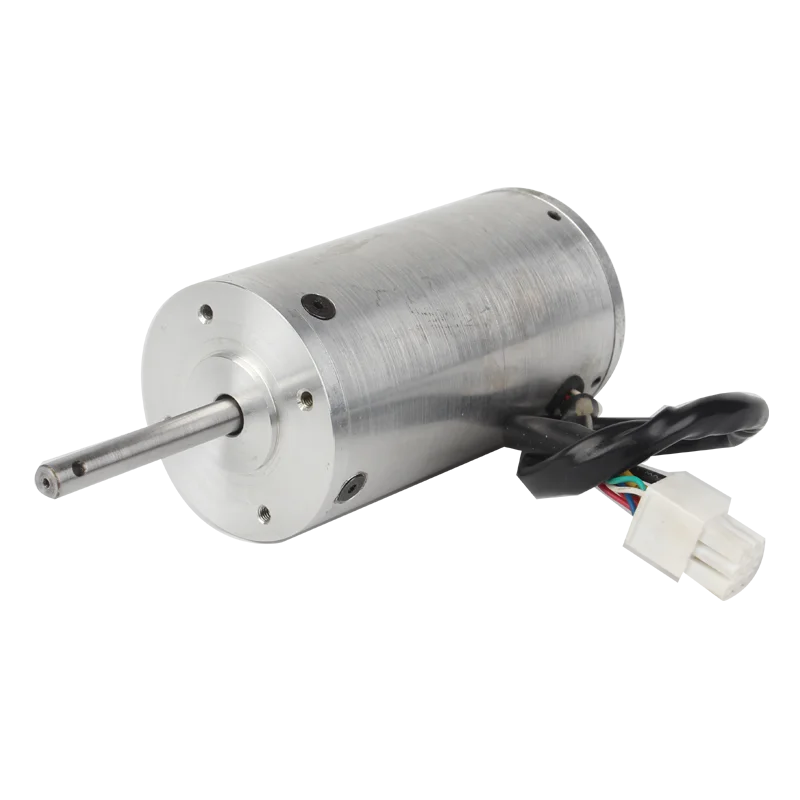 12v / 24v electrical dc motor bldc brushless motor with customized power