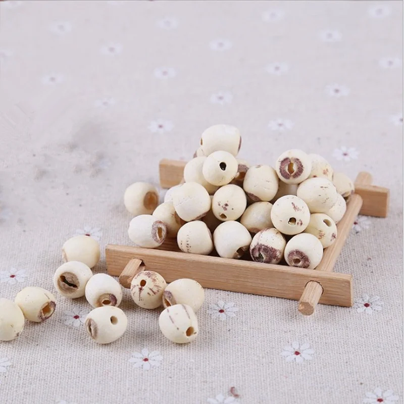 lotus_seed_without_core (4).JPG