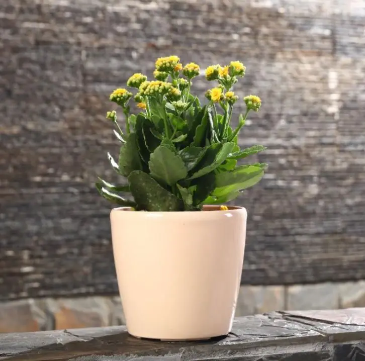 small size square resin plastic flower pot circular thickening environmental protection automatic watering planter