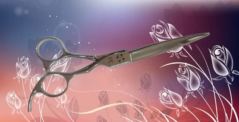 Professional Japanese Steel Hair Dressing Cutting Scissors U234