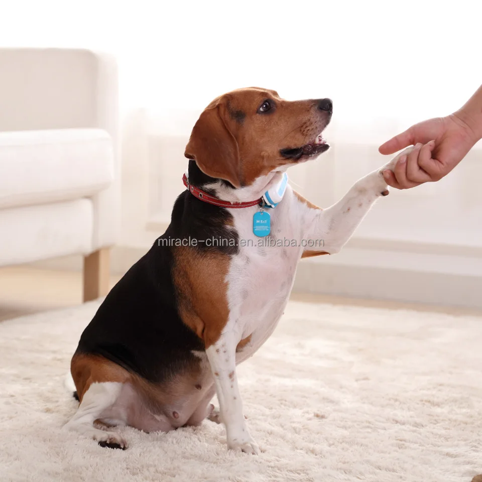 Talkdog dog language translator/translator with sound