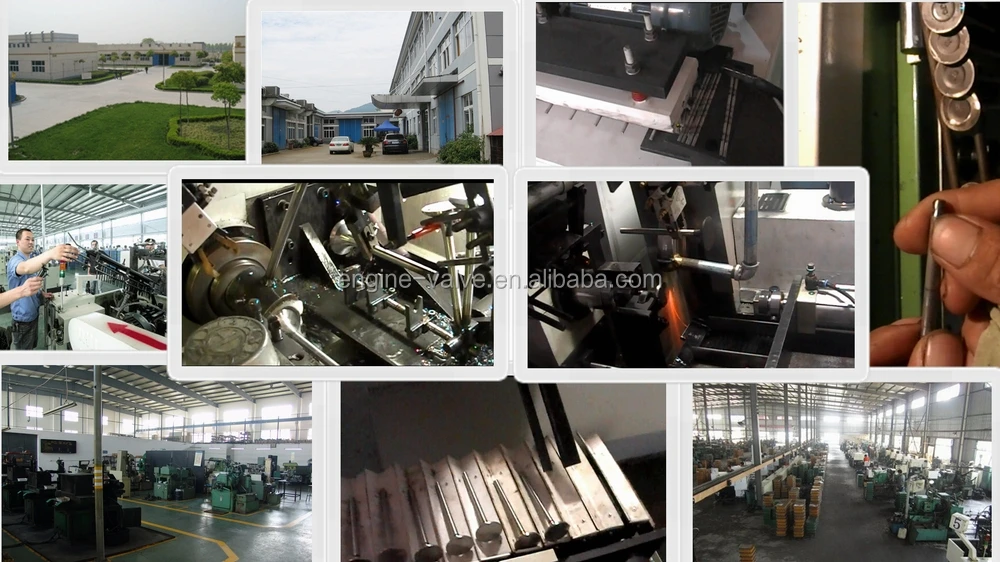 intake & exhaust valve for VOLVO TD61 TD100