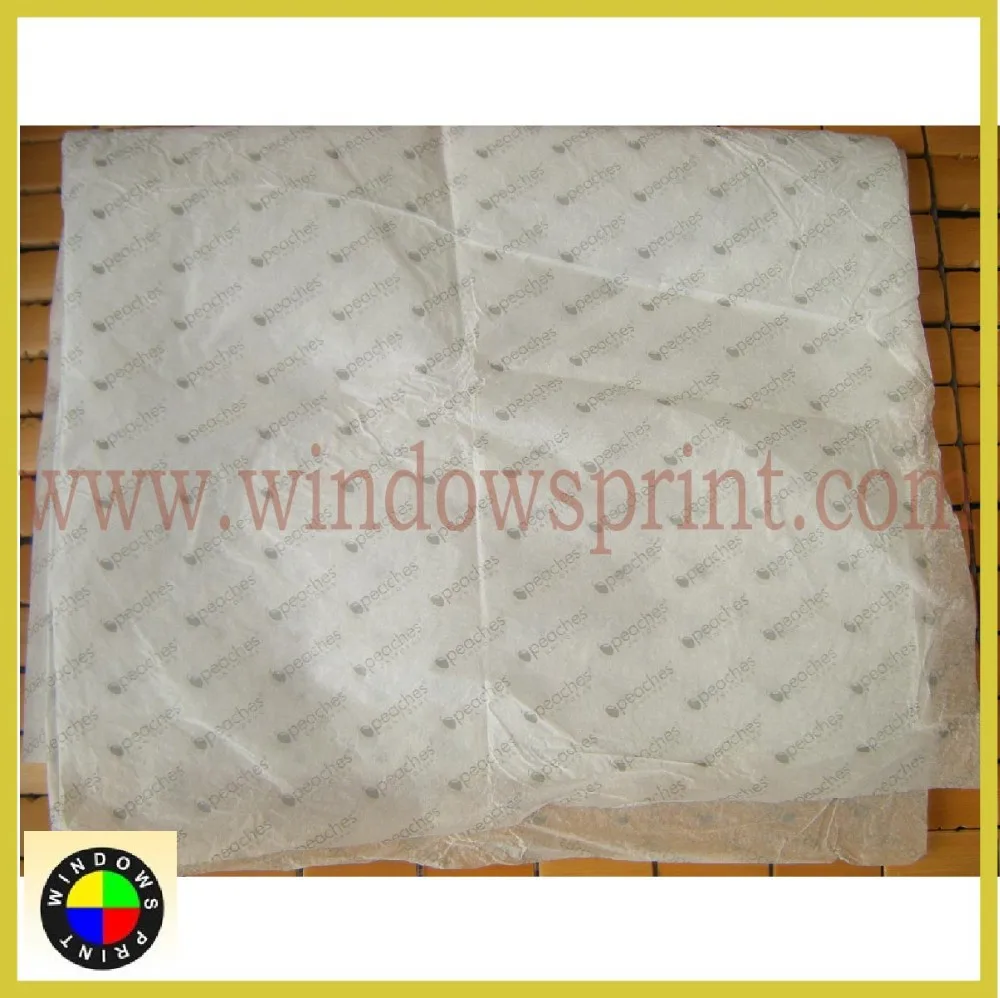 Custom essay paper