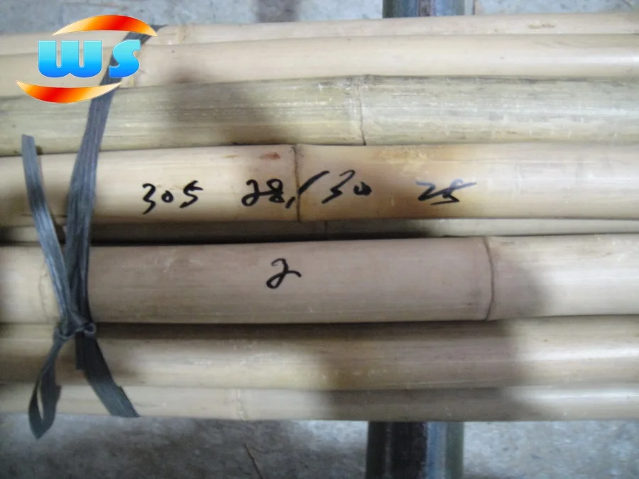 Support tree nurseries growing  of bamboo cane 305CM 28-30MM