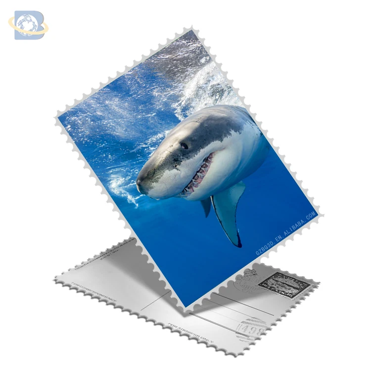 
Custom 4x6' 3d shark postcard wholesale lenticular Paper Craft 3D postcard 3d lenticular postcard 