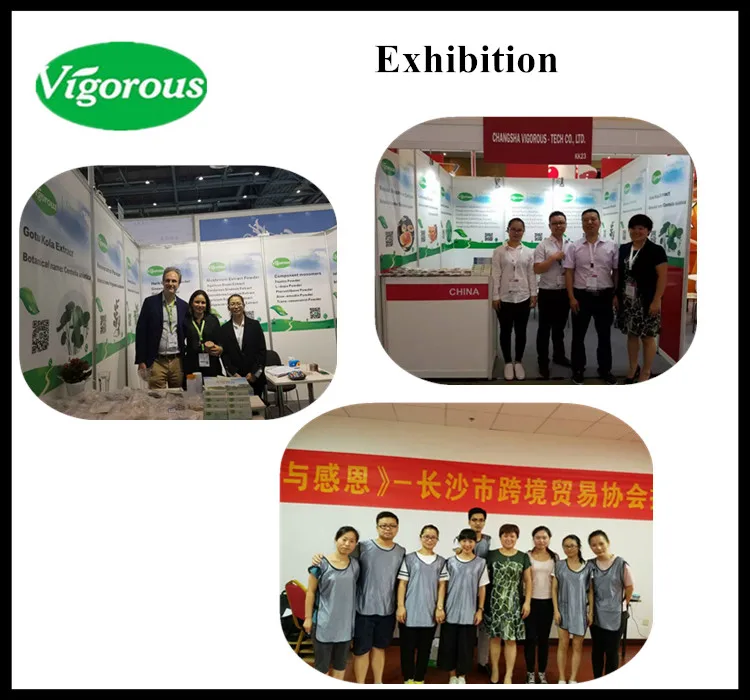 High quality for shampoo 10% Theobromine Cacao Seed Extract powder