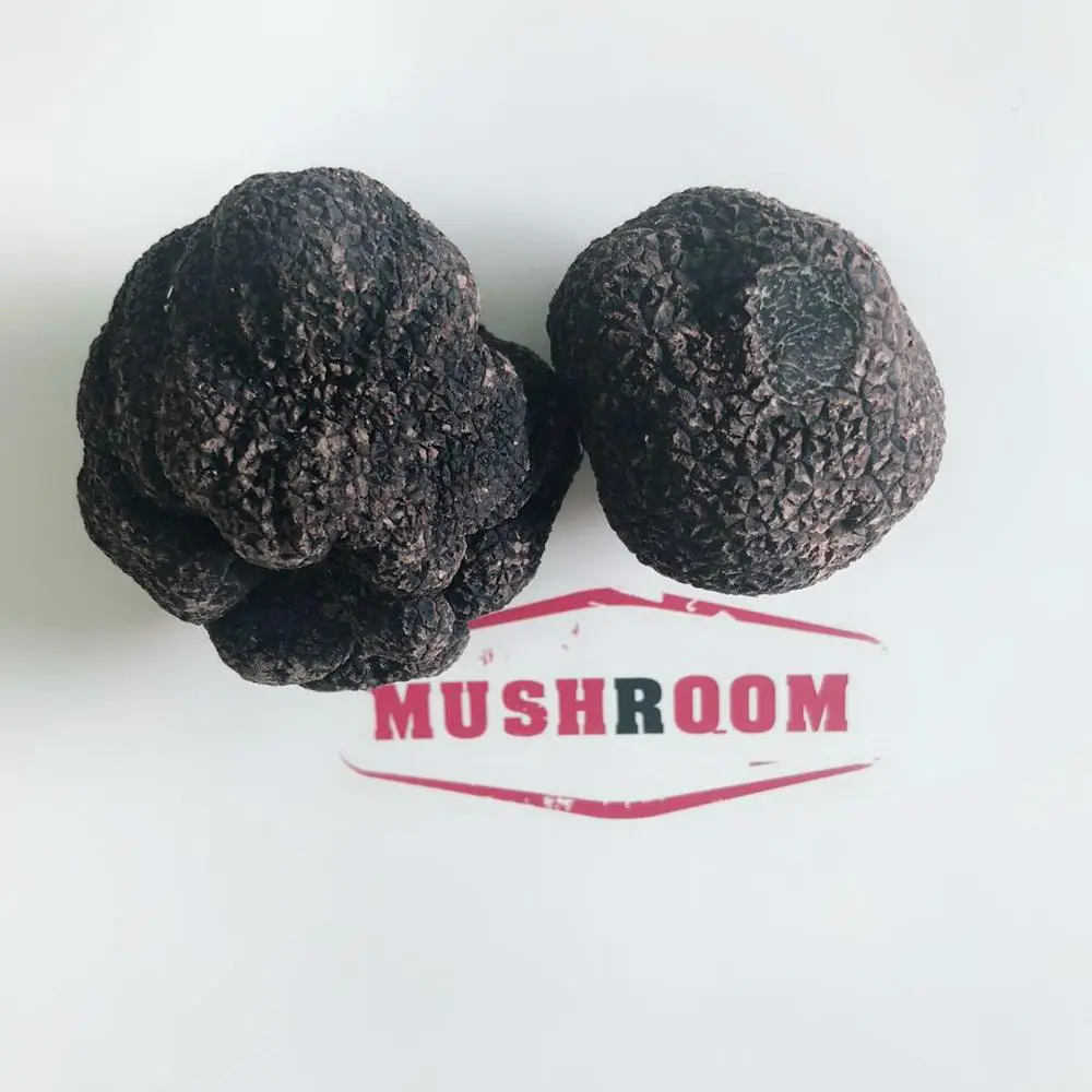 Detan Wild Black Fresh Buyer Truffle