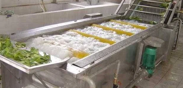 
Vegetable and Fruit Washing Machine Washing Line for sale 