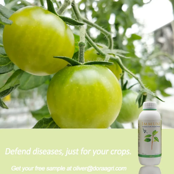 Лечение болезней на урожаях-гарпин-био-удобрение