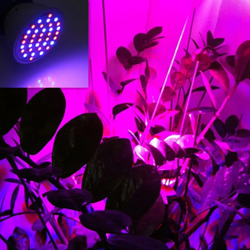 led grow light 5w 24w 45w 50w 48 inch bridgelux board for germany