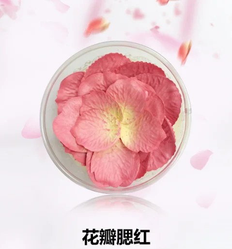 Wholesale  best selling rose petal flower makeup blusher private label