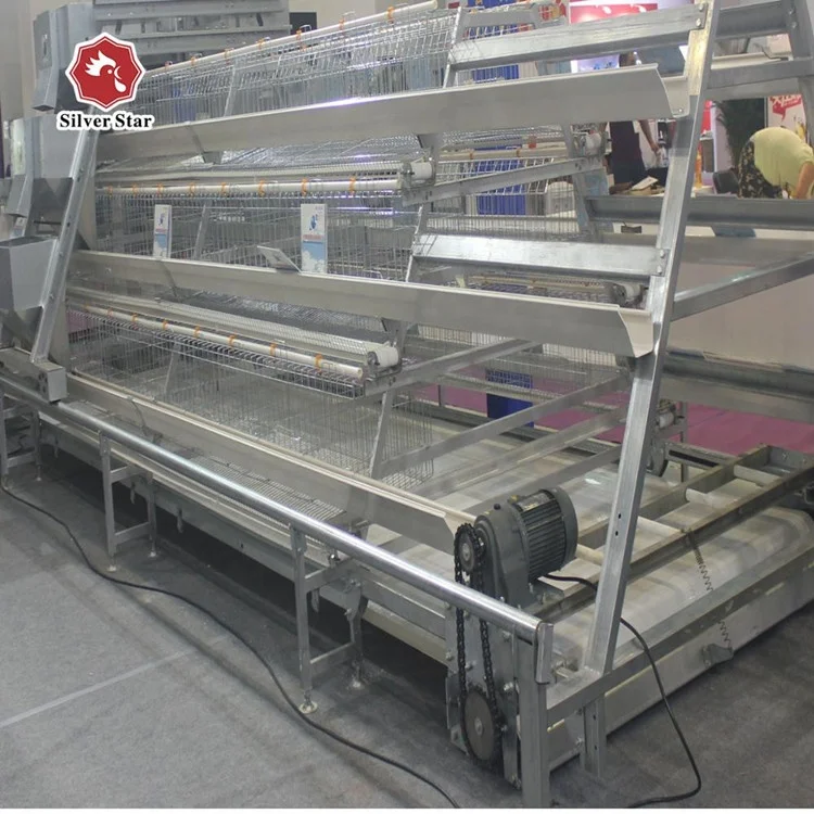 Automatic poultry feeders for egg layer chicken coop