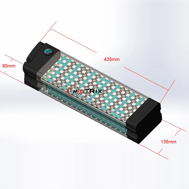 Customized Li Ion Lifepo4 48V 60Ah 40Ah 20Ah Lithium Battery Pack for Electric Bicycle