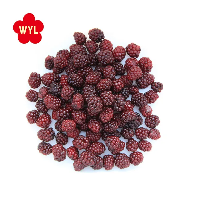 HACCP BRC certified good price frozen fruit IQF Blackberry (1600309772704)