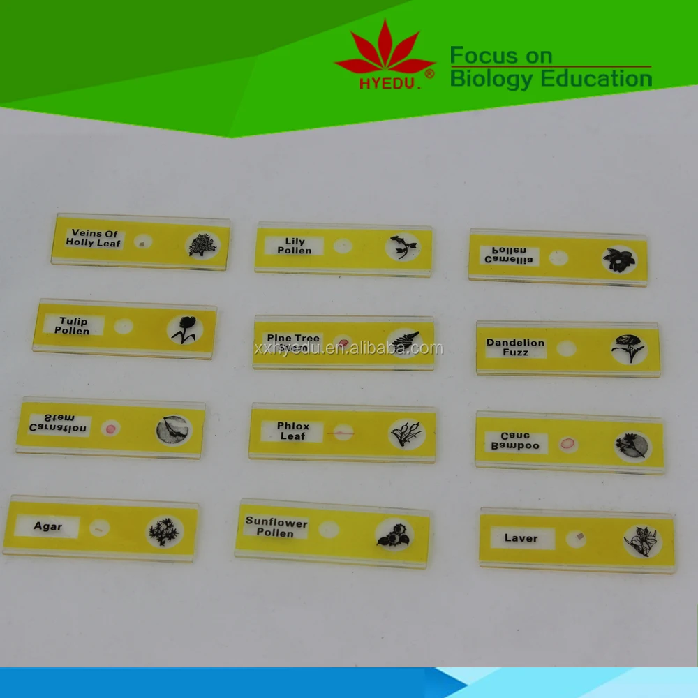 Plastic Microscope Prepared Slides Educational Science Toys Your Best Choice for Teaching Aids of 12pcs Plant Flower for Kids Ce