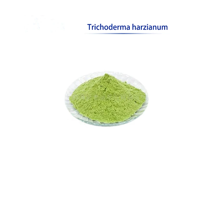 Top Quality Trichoderma Harzianum for Biological Fertilizer