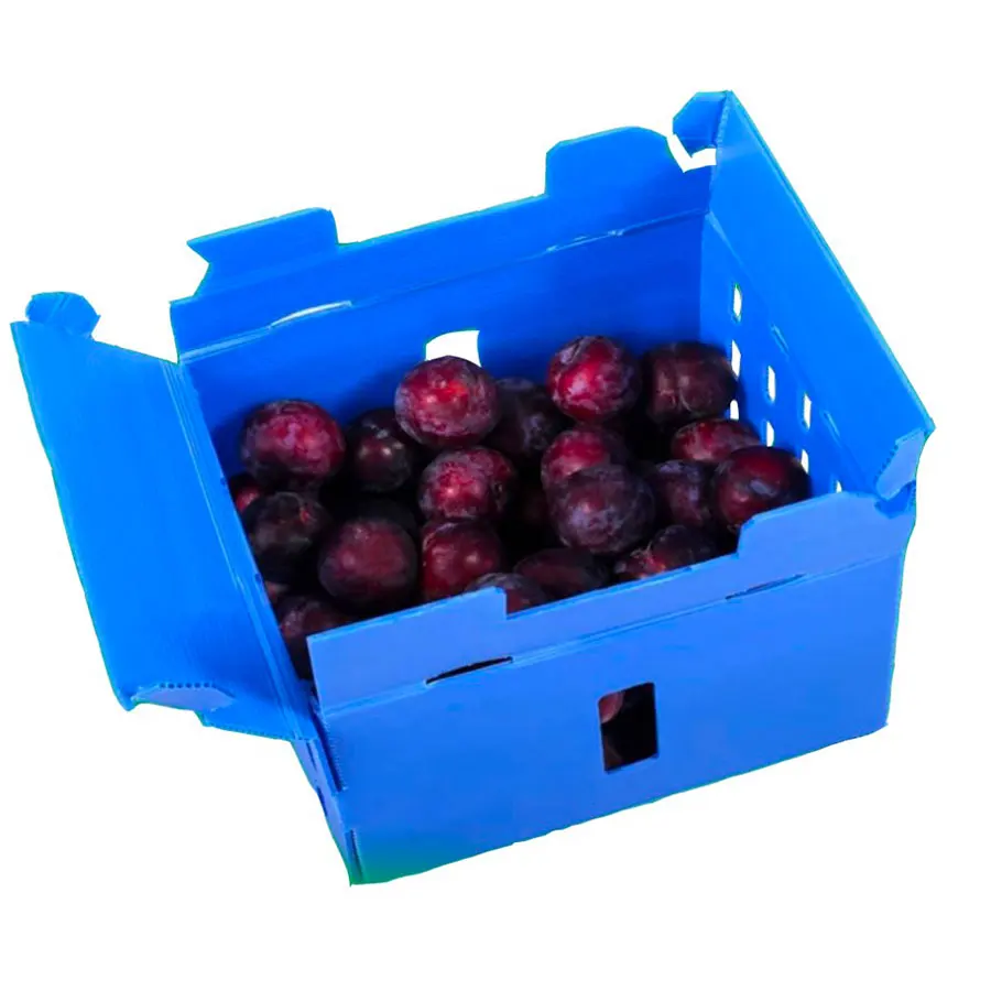 Fruit /Vegetable Packing Corrugated Plastic Box
