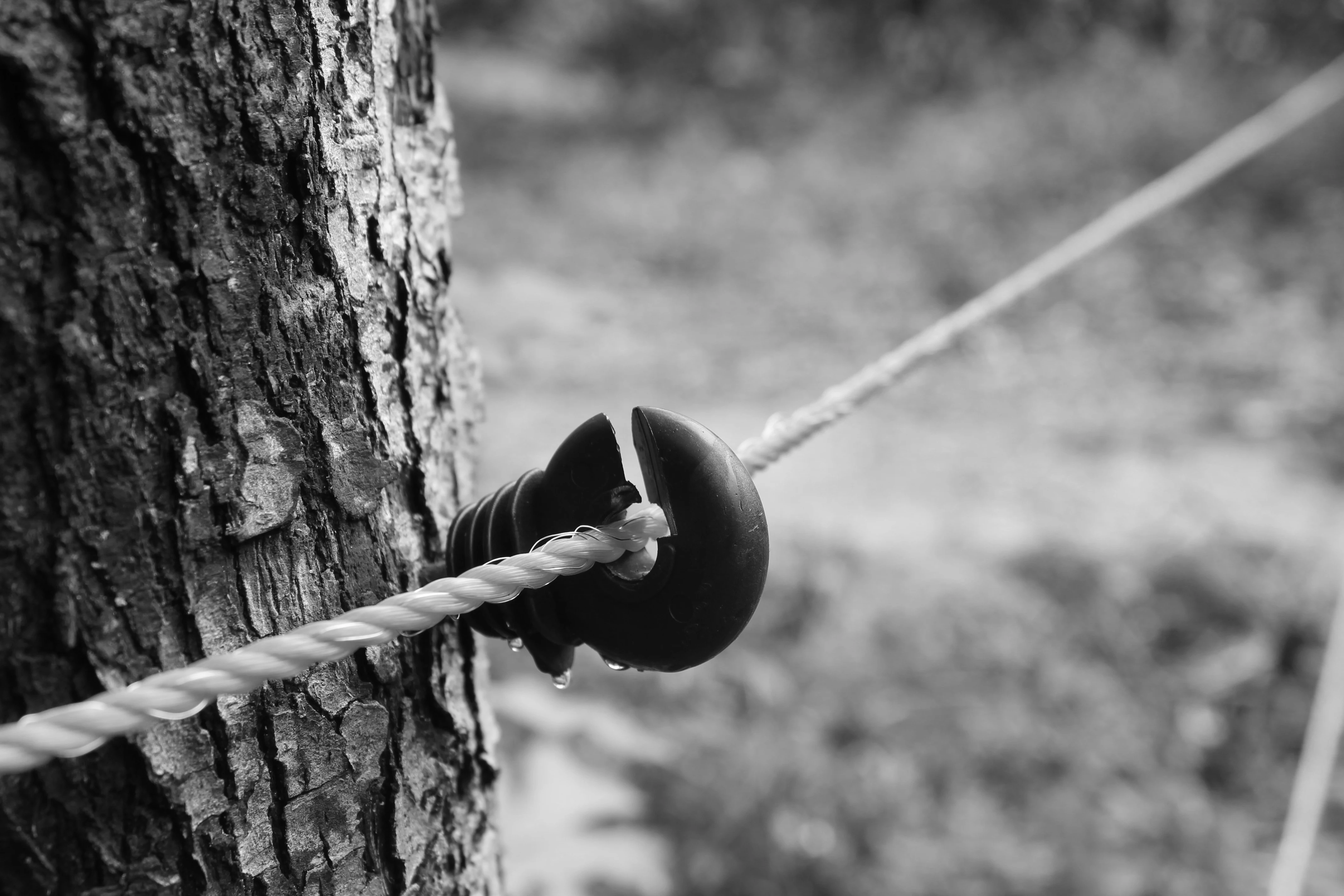 PET & GARDEN ELECTRIC FENCE COMPLETE KIT, FENCER GARDEN PEST CONTROL DOG