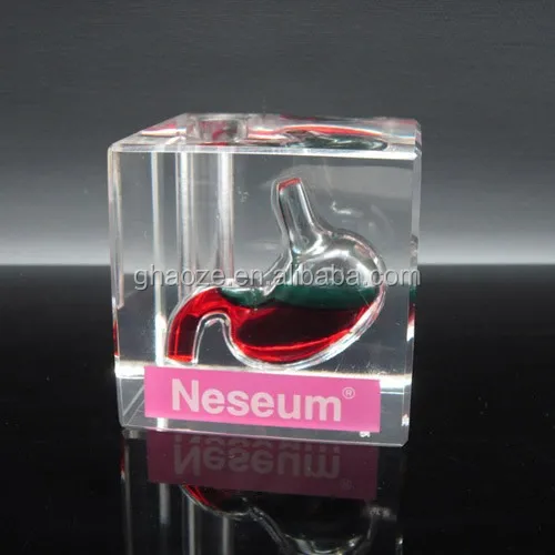 Customized Clear Acrylic Inclusions Gift Resin Embedment Acrylic Block