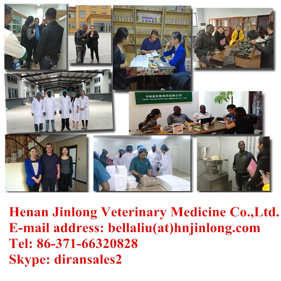 
Veterinary Nutrition Bird Vitamin and Pet for Flying 