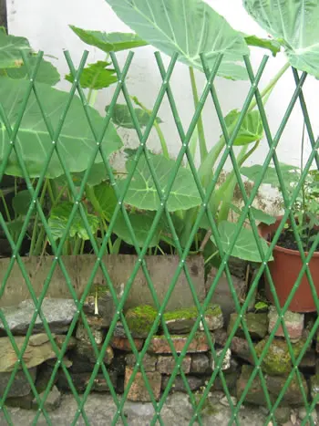 Natural Bamboo Folding Fence for Garden Decoration