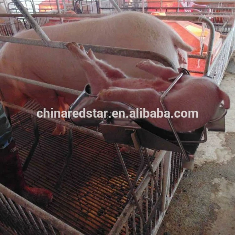 High quality small pig Castration operation table Castrating Knife Veterinary & Animal Instruments