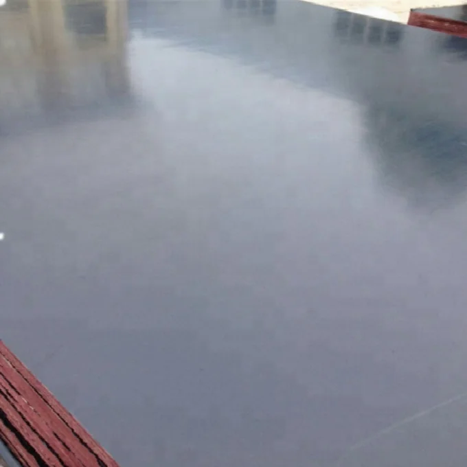 Hardwood Eucalyptus Black Film Faced Plywood