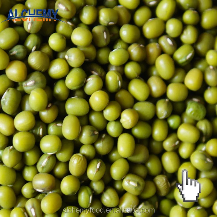 
kidney beans from argentina 