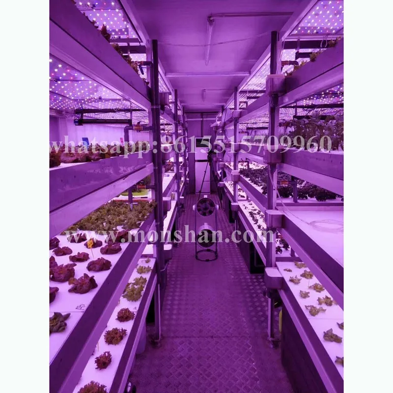 40 Foot Hydroponic Container farm For Microgreen
