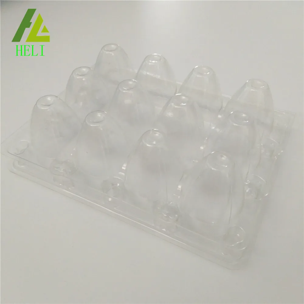 jumbo quail egg cartons 12 quail eggs box