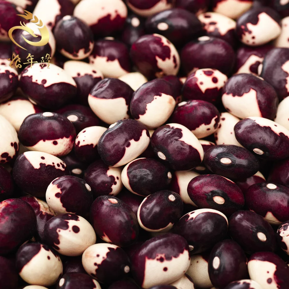 
organic new crop different types dried haricot pea rosecoco panda white beans 