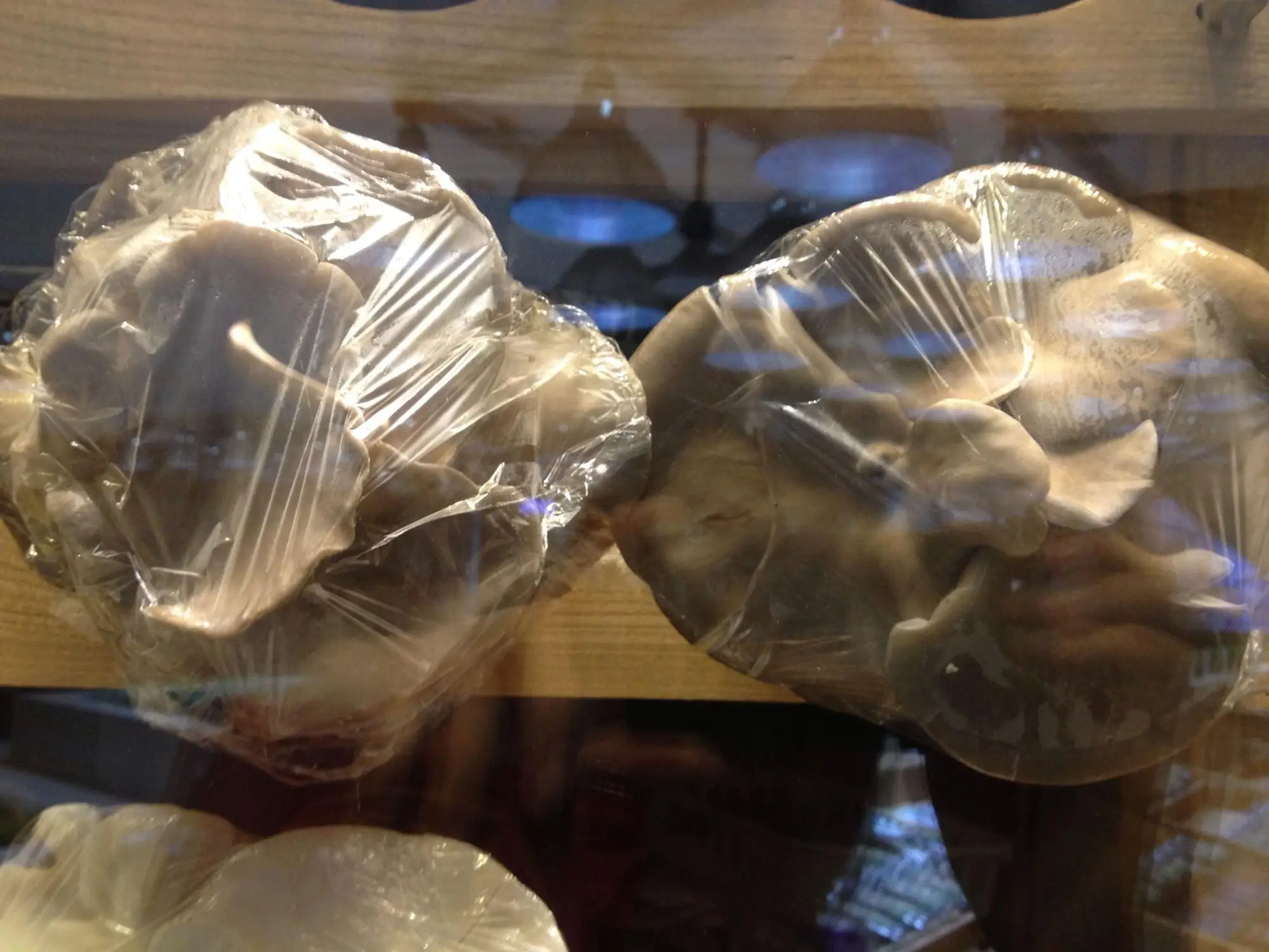 
Detan Oyster Mushroom Bag 