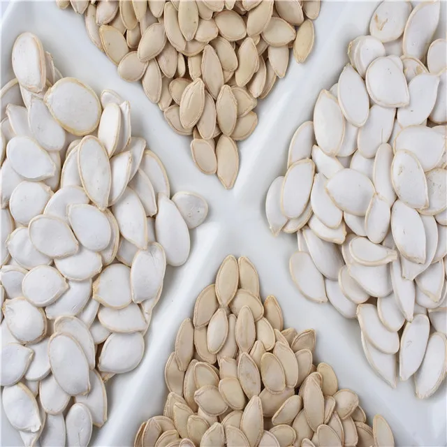 HIGH QUALITY 2024 crop delicious high quality Chinese roasted Pumpkin Seeds At Best Price