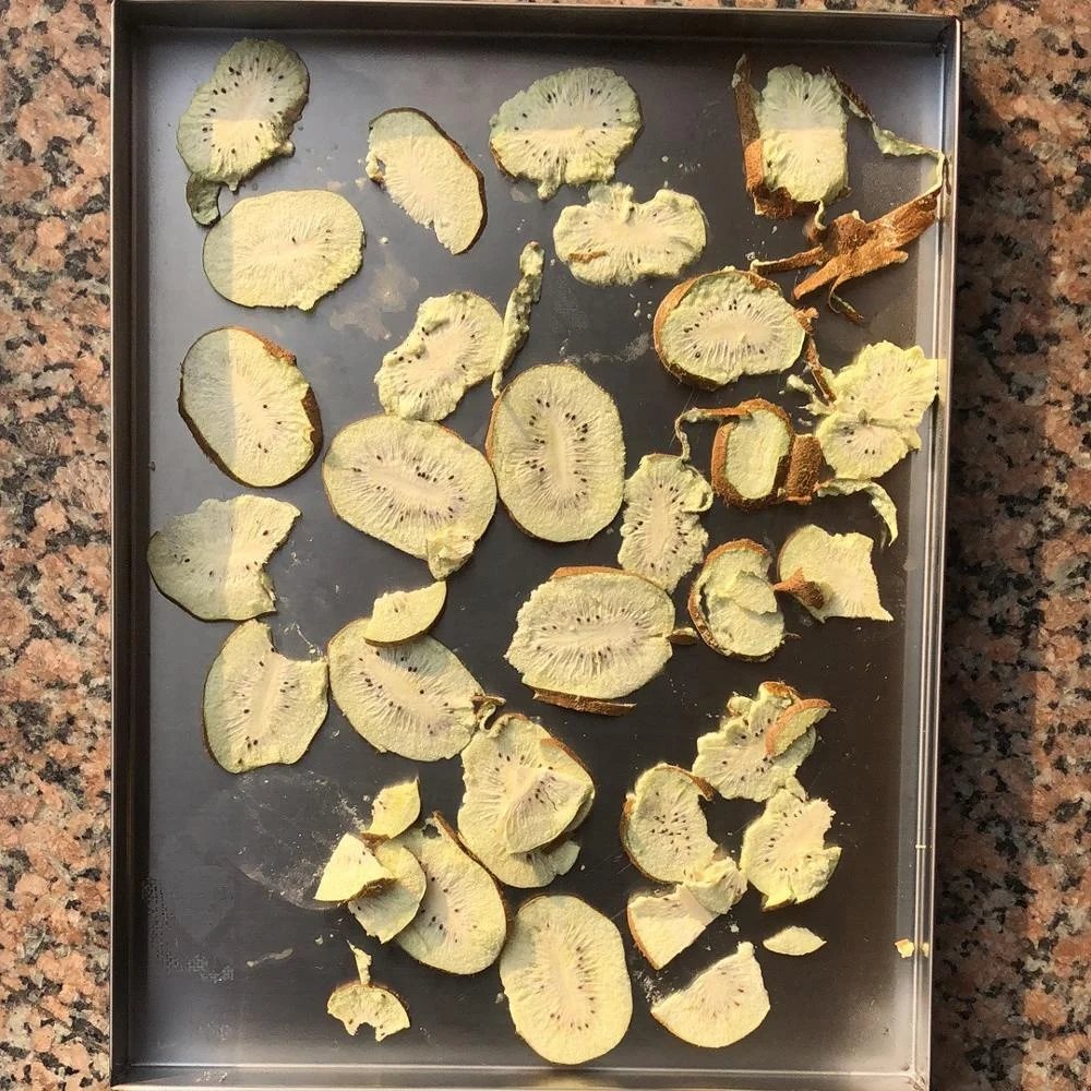 
New Generation 0.6m2 (square) Home Application Fruit Vacuum Freeze Dryer Lyophilizer 