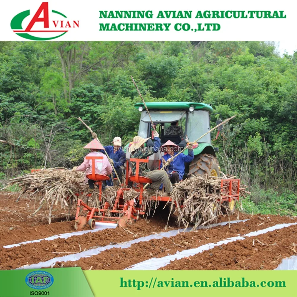 Good Performance Sugarcane Planter / Sugarcane Seed Planter/Sugarcane Planting Machine