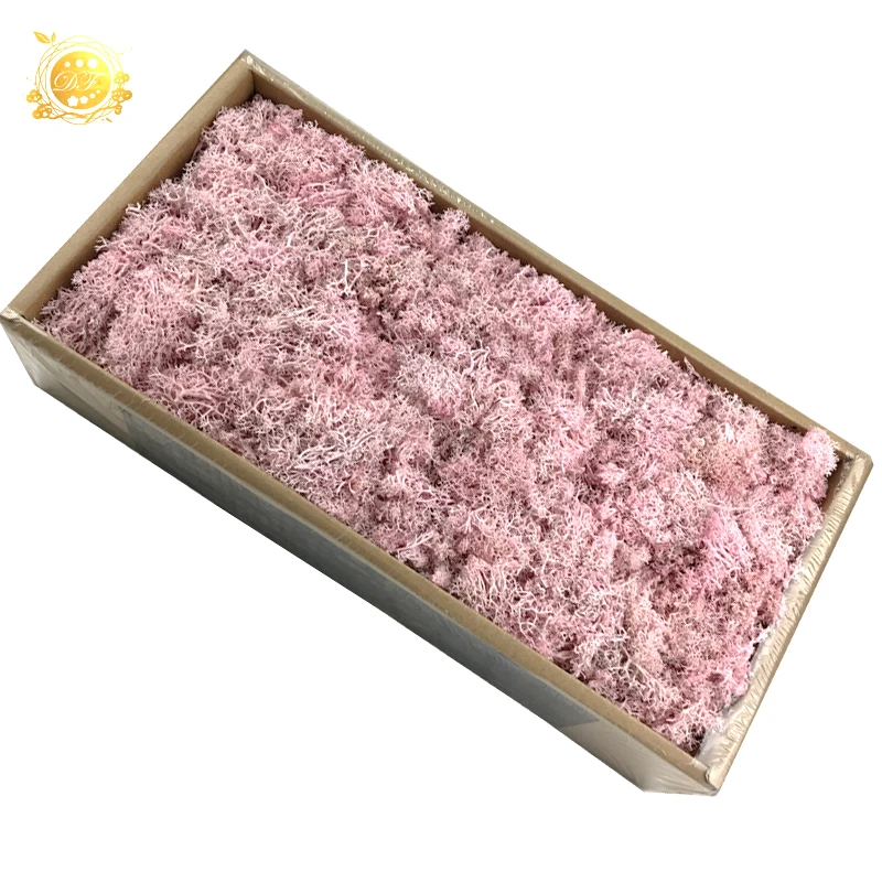 Yunnan A grade dried flowers wholesale preserved moss  for indoor decoration